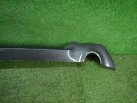 DSCN4667.JPG