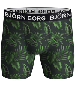 Боксерки теннисные Bj_rn Borg Performance Boxer 2P - multicolor