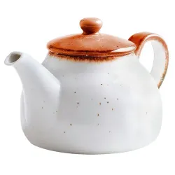 Чайник 600 мл d 13 см h11,5 см Orange Sky Fusion P.L. Proff Cuisine [1]