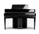 Kawai NV12 EP