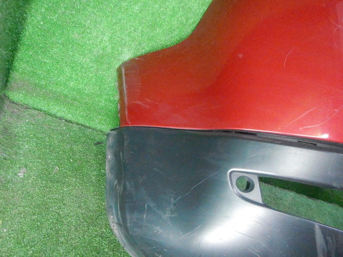 DSCN1485.JPG