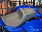 STREET GLIDE SPECIAL, 2024 (Blue Burst/Black Trim)