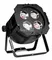 Anzhee P4x50COB-W