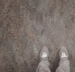 marmoleum vivace