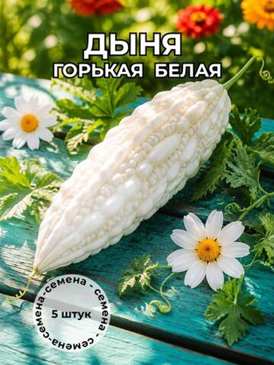 Тыква горькая белая семена 5 штук