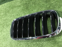 Решетка радиатора левая BMW X5 F15 X6 F16 (2013-2018)