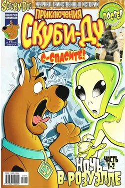 Приключения Скуби-Ду #15 (2007)