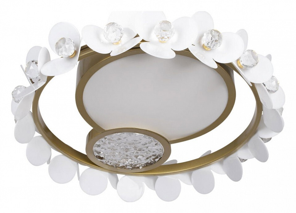 Накладной светильник Loft it Bride 10173