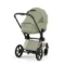 Детская коляска Cybex Priam V Style 2 в 1 Sage Green