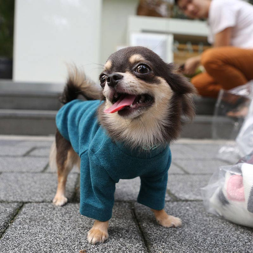 269 Водолазка для собак однотонная, с микро начесиком "Cozy T-shirt Puppy Angel"