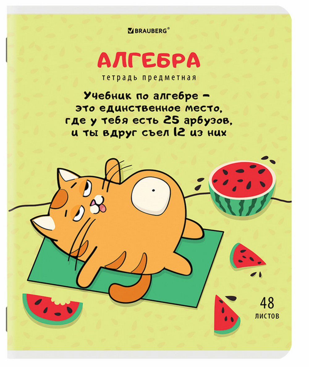 Тетрадь предмет. А5 48л. клетка "Кот-энтузиаст" Алгебра twin лак, подсказки (BRAUBERG)