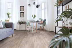 Линолеум полукоммерческий Profi Master Havanna Oak 1, 3х37м (рулон)