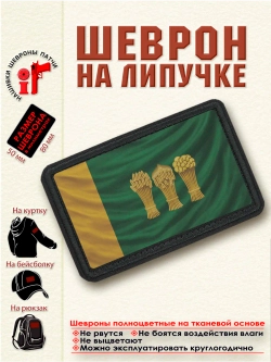 Шеврон "Флаг и Герб Пензы" dtf