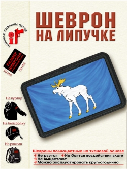 Шеврон "Флаг и герб Йошкар-Олы" dtf