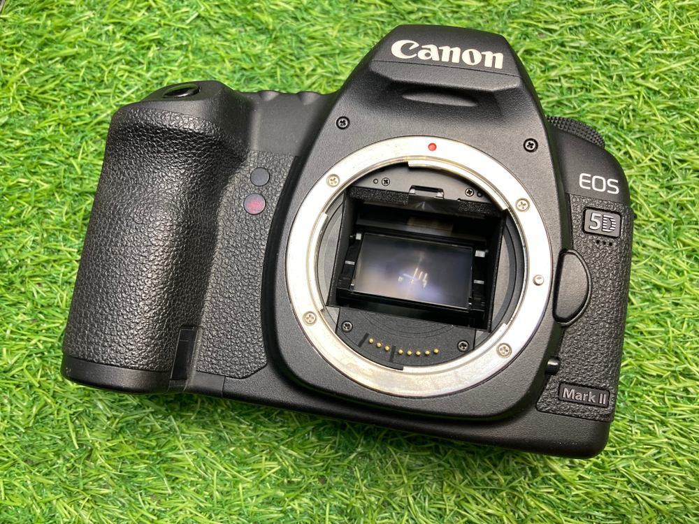 Canon EOS 5D Mark II 22.000 кадров
