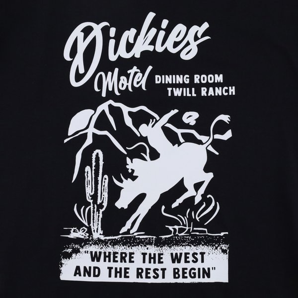 Футболка Dickies Dighton Graphic T-Shirt (black) артикул: - купить в магазине Дайс