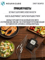 Сменный щуп BMT01 для термометра SONOFF BBQ MPS01 (2 шт.)