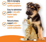 VetIQ Urinary Care Paste