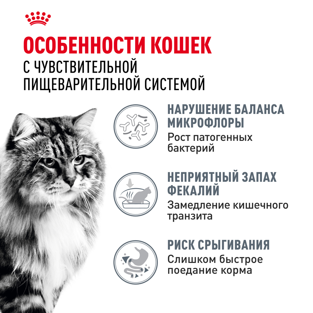 Royal Canin DIGESTIVE CARE (ДАЙДЖЕСТИВ КЭА) Корм сухой полнорационный для взрослых кошек для поддержания здоровья пищеварительной системы - 10 кг