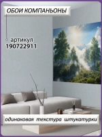 3D Фотообои утренний лес и горы в тумане с ярким солнцем