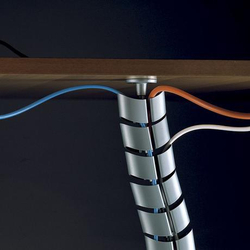 Vertebra XCI