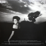 Duran Duran / Notorious (2LP)