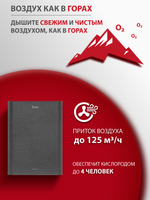 Приточный очиститель воздуха Ballu ONEAIR ASP-100GR графит