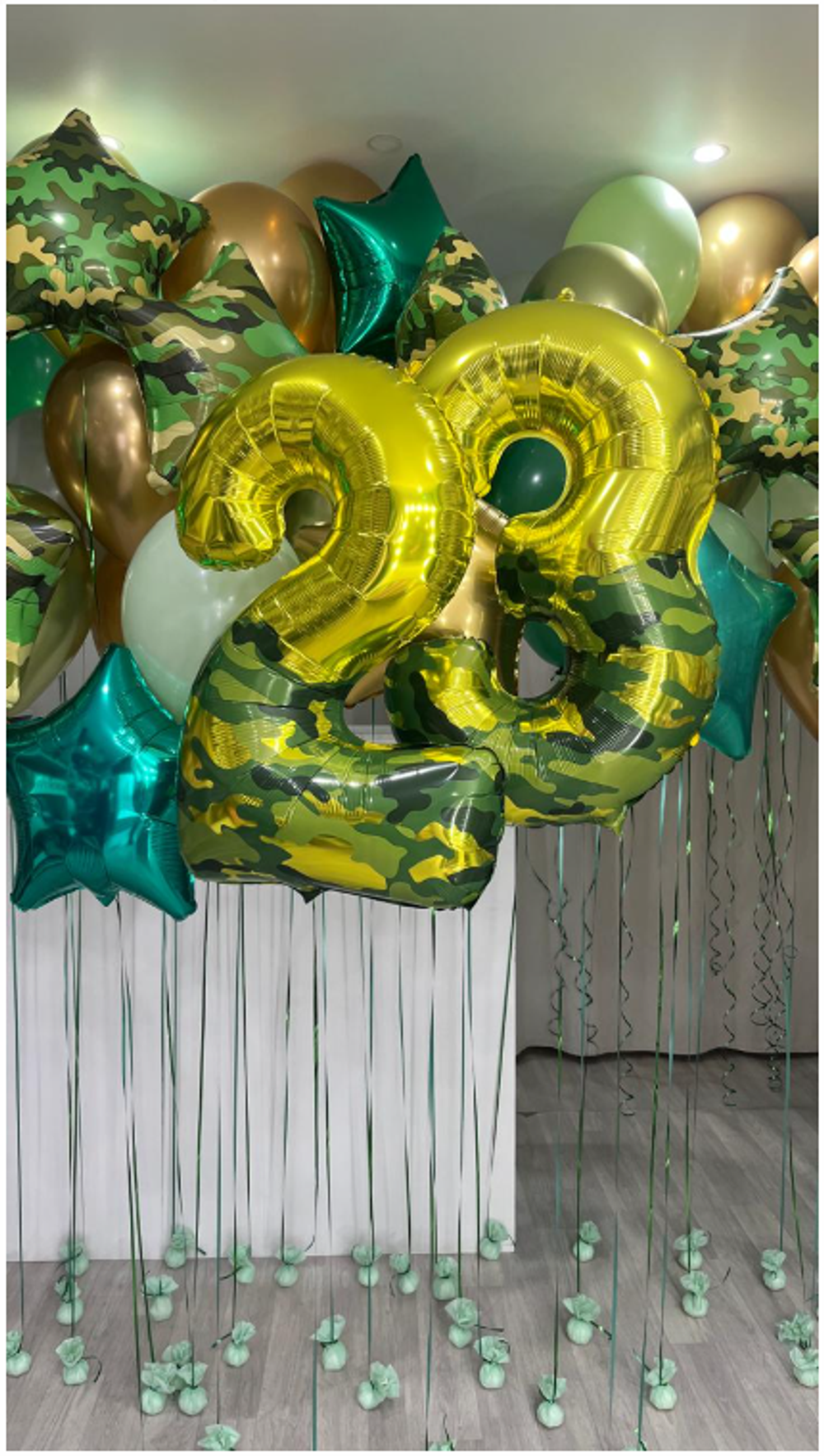 шары на 23 февраля и дембель №49