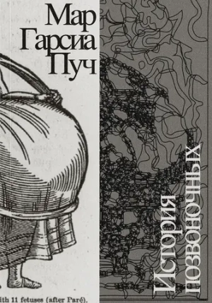 История позвоночных
