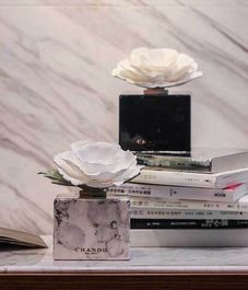 White Marble, ароматический диффузор с необычными палочками, Chando
