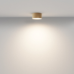 Потолочный светодиодный светильник Maytoni Zon C032CL-12W3K-RD-MG