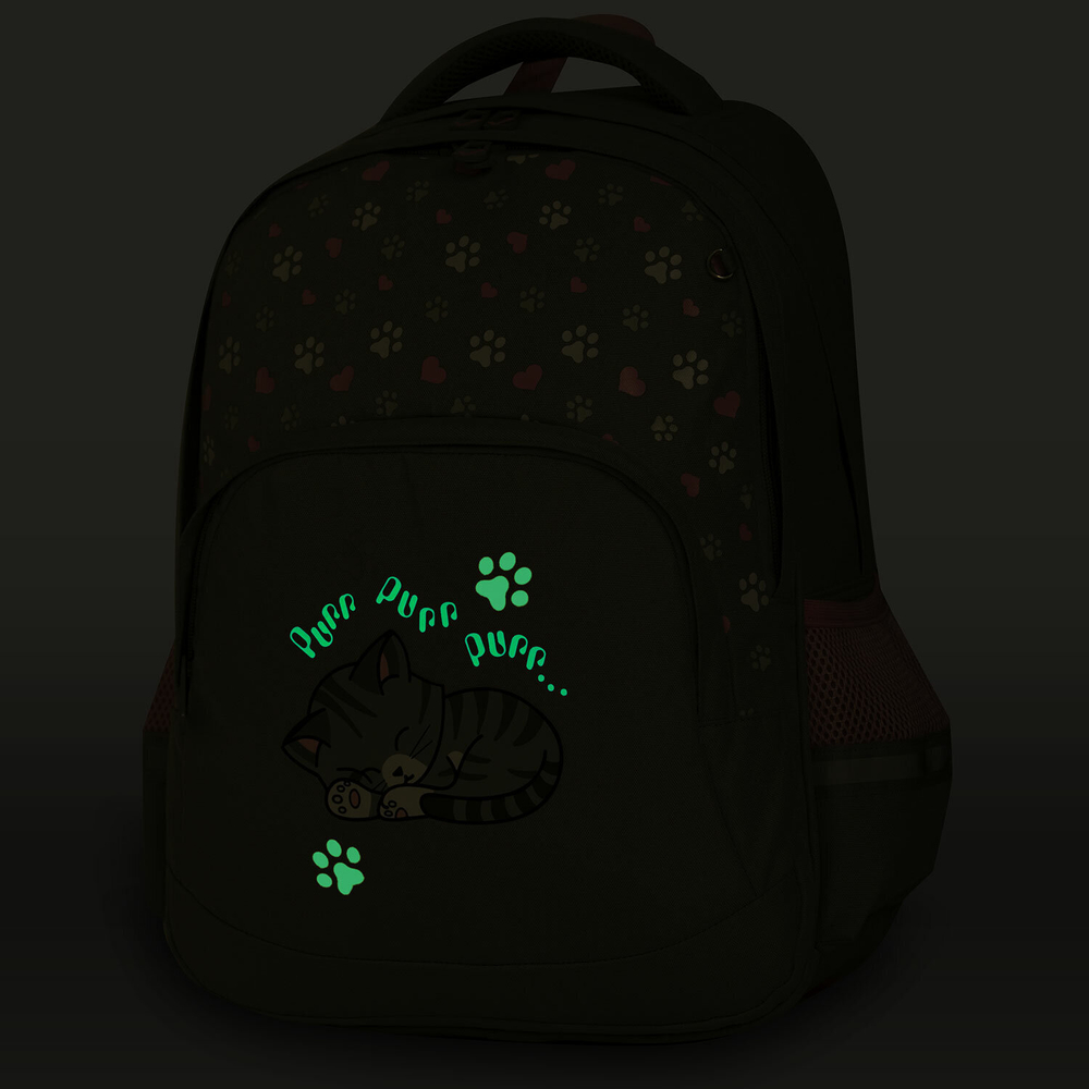 Рюкзак BRAUBERG SOFT, 2 отделения, 3 кармана, "Sleepy cat", СВЕТЯЩИЙСЯ, 40х31х15 см, 272035