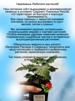 Ежевика Гай бесшипая