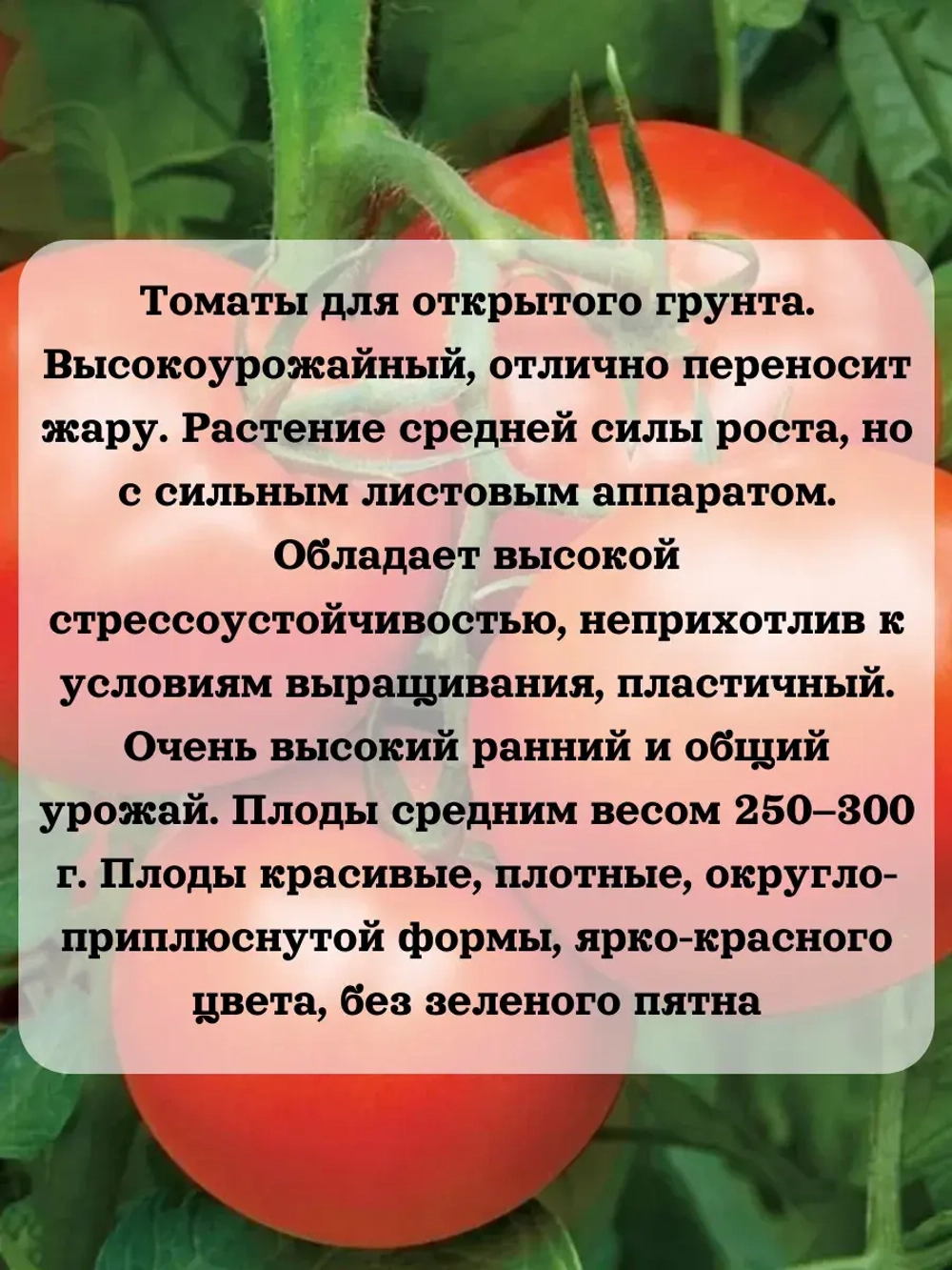 Семена Томат Бобкат F1 Крупноплодный 0.2 гр