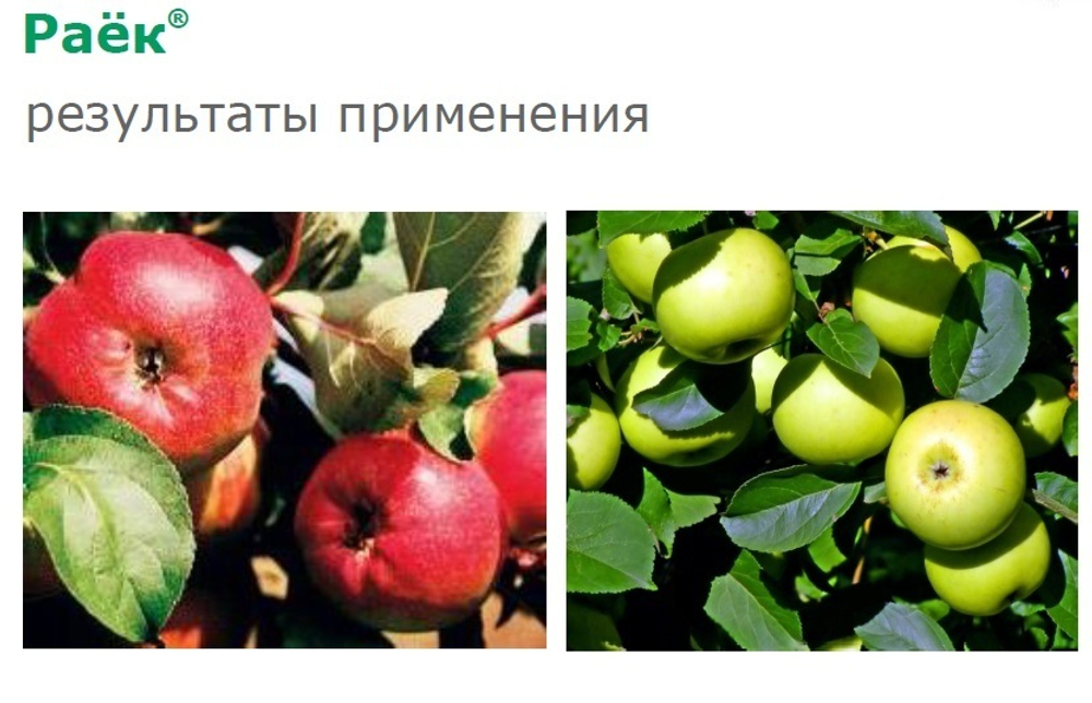 Фунгицид Раек, КЭ (250 г/л), 1 л