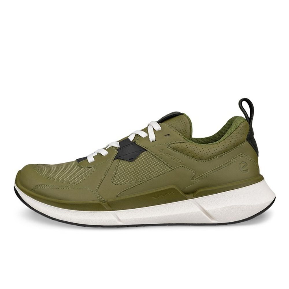 Кроссовки мужские ECCO BIOM 2.2 M