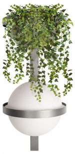 Бра Loft it Jardin 10121W/B Dark grey