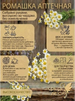 Ромашка аптечная здоровья, творчества и солнечной магии