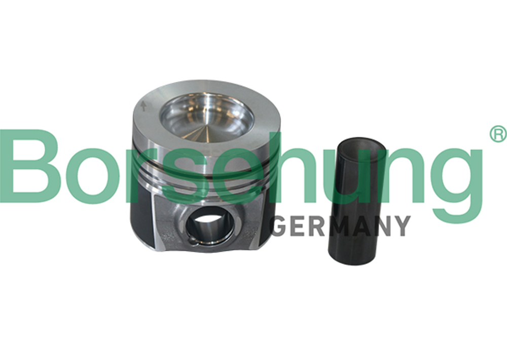 Borsehung - B19298-BSE - Klip