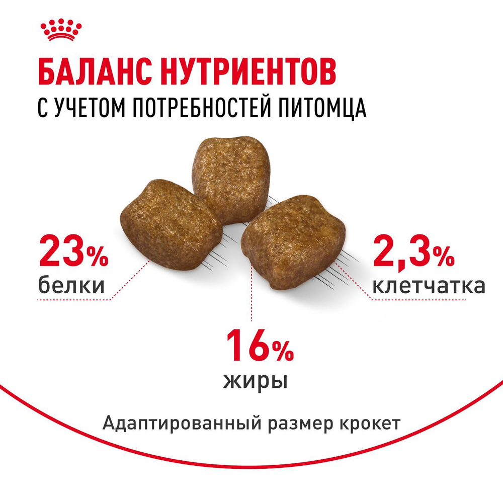 Royal Canin Mini Dental Care Мини Дентал кэа Корм сухой для собак мелких пород против образования зубного камня 3кг