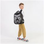 Ранец BRAUBERG SHINY, 2 отделения, "Tiger", СВЕТЯЩИЙСЯ РИСУНОК, 36х28х14 см, 270698