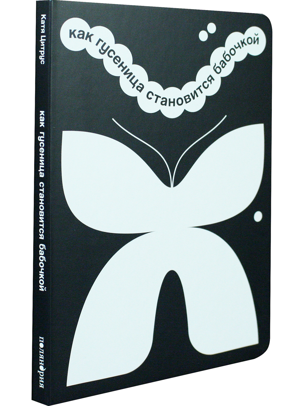 Как гусеница становится бабочкой