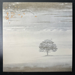 Genesis ‎– Wind & Wuthering (Англия 1976г.)