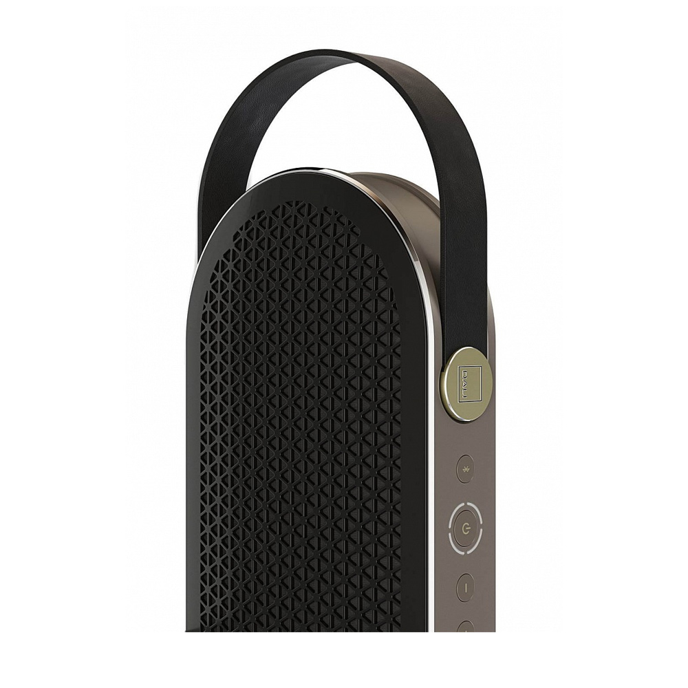 Dali Katch G2 — портативная беспроводная Bluetooth-колонка