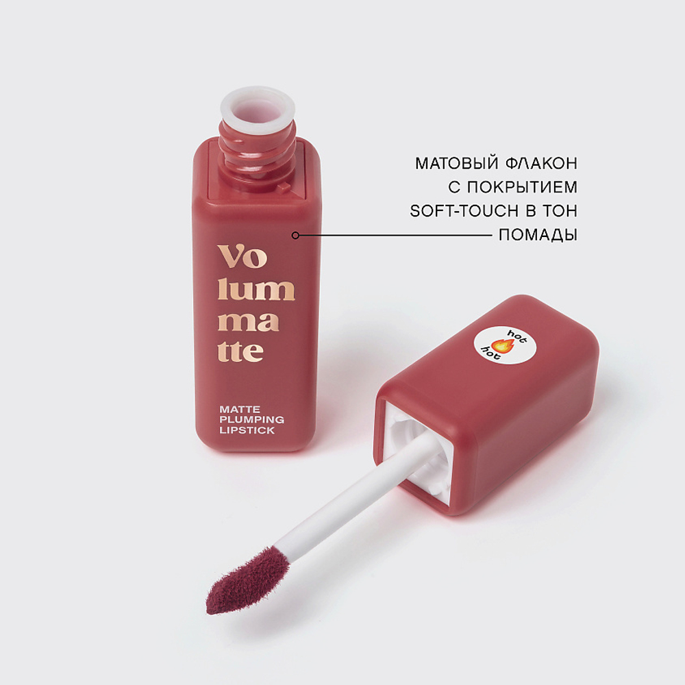 Vivienne Sabo Volummatte Matte Plumping Lipstick Жидкая матовая помада для губ с плампинг-эффектом 05 Вишневый