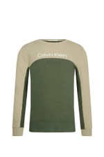Худые Calvin Klein Jeans - зеленый(IB0IB01866)