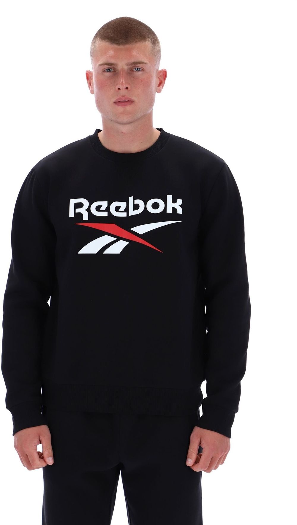 Толстовка мужская REEBOK JULIAN 2 COL LOGO CREWNECK SWEATSHIRT