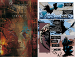 The Sandman. Песочный Человек. Книга 4. Пора туманов
