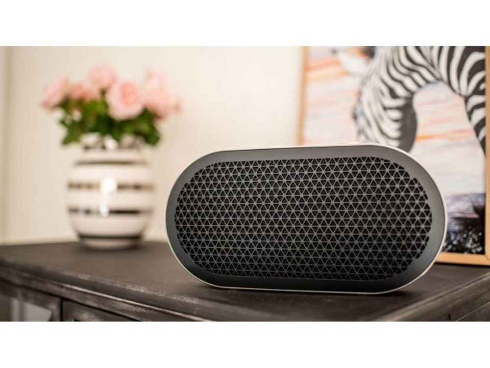 Портативная акустика Dali Katch G2 Iron Black