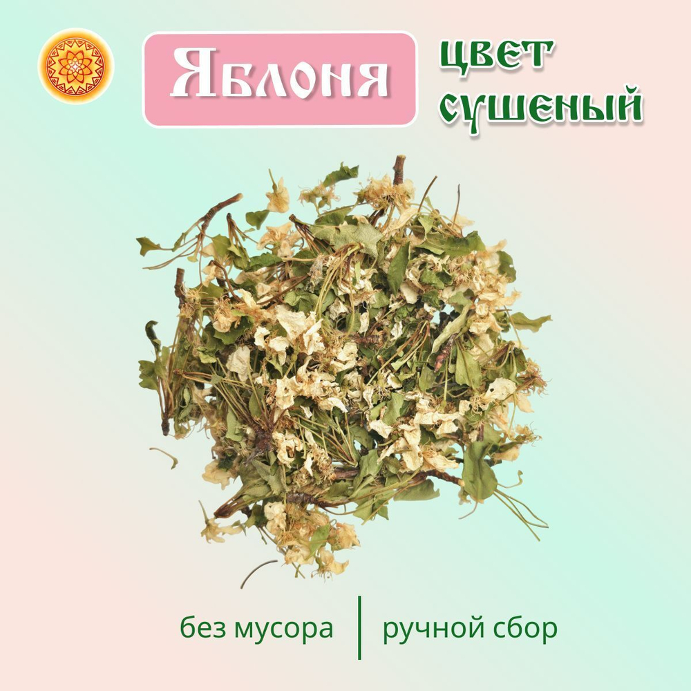 Яблоня (цвет с листом)